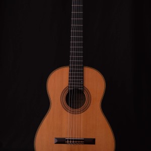 ハウザー2世1971 (3)